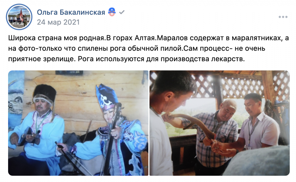 однокурсники Путина